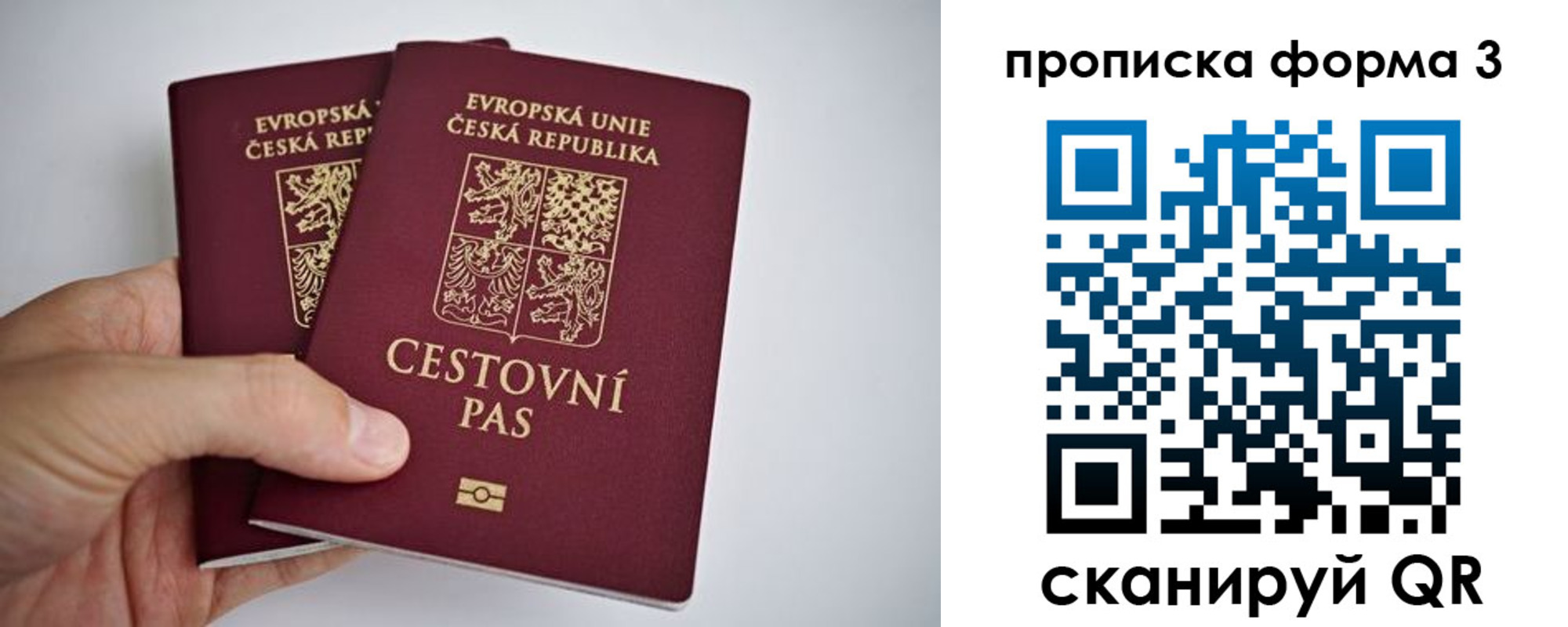 регистрация для школы в Лодейном Поле